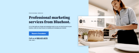 Professional Services Of Bluehost