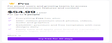 Canva Pro