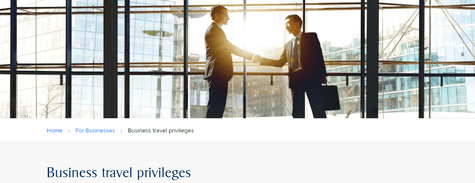 For Businesses
