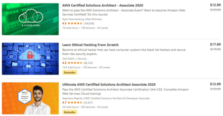Udemy Software